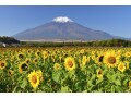 山の日とは？なぜ8月11日が祝日になった？由来・意味