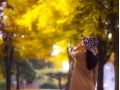 秋に気持ちが落ち込む人がすべき3つの抑うつ対策