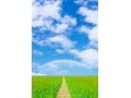 手堅く5％超！5万円台で注目の9月株主優待注目銘柄