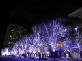 横浜・みなとみらいのクリスマスイルミネーション2016