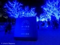 話題の「青の洞窟」などイルミネーション撮影のコツ