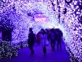 江の島イルミネーション『湘南の宝石』の見どころ2018-19