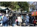 埼玉・調神社 浦和レッズ選手も初詣に訪れる人気神社