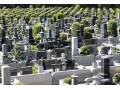 一緒の墓に入りたくない……墓から考える「死後離婚」