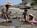 海水浴や磯遊びの危険生物……毒を持つクラゲ、タコ、貝等