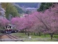 3月に上がりやすい業種は？