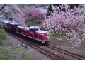 4月に買ってはいけない銘柄は？