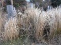 ふるさと納税で「墓清掃」「墓守サービス」