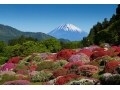 5月の箱根はツツジを見に行こう！見頃と名所2017