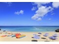 2017年夏ボーナスを使った配当金狙いの投資に注目