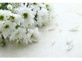 海老蔵さん・麻央さんが教えてくれた温かい夫婦愛の形