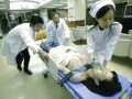 多臓器不全の原因・症状・治療法・予後…急死リスクも