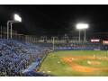 年後半でもまだ間に合う！スポーツ応援定期とは？