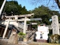 “猫”だらけの神社「お松大権現」　由来やご利益は？