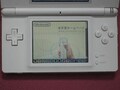 【解決策】DSの無線LANがつながらない(1)