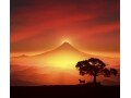戌笑うとなるか？2018年の日本株はどうなるのか？