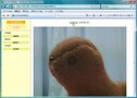 無線/有線LANネットワークカメラ 第2回