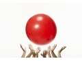 日本が誇るマテハン世界最大手企業「ダイフク」とは