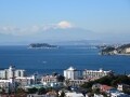 鎌倉から逗子へ、披露山公園を目指す海辺ハイキング