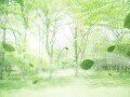 立夏とは？ 2026年はいつ？ 読み方や意味、過ごし方を解説