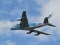 ANAやJALも！デザインがかわいい「特別塗装機」11選