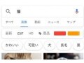 画像でGoogle検索する「類似画像検索」の方法を解説！