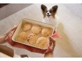犬用豆腐ハンバーグレシピ……鶏肉を使って簡単！