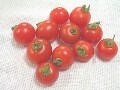 トマトの品種・種類