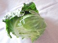 キャベツの栄養・選び方・保存方法