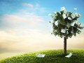 コロナショックで投資を始めたほうがいいの？iDeCoやNISAの考え方【2020年の家計防衛】