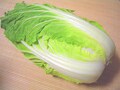 白菜の旬・種類