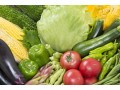 野菜が高い時、どうやって食費を節約する？ 買い物のしかたと便利グッズ