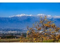 二十四節気「小雪」とは？2025年はいつ？意味や食べ物、過ごし方を解説