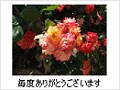 Windows XPでメッセージ入りシールを作る