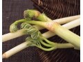 うどの下ごしらえ（アク抜き）・下処理・保存方法