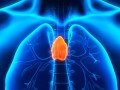 胸腺とは…虐待でも起こる子どもの胸腺萎縮の原因・対処法