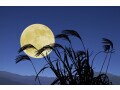 【9月行事・歳時記】重陽の節句・十五夜・秋彼岸…風物詩や行事まとめ