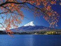 【10月行事・歳時記】衣替え・十三夜・紅葉狩り・ハロウィン…風物詩や行事まとめ