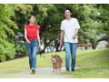 40歳、子なし専業主婦の憂鬱。「子どもはいないのに働いていないのね？」と珍しがられて傷ついて