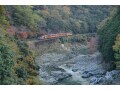 秋の紅葉のシーズンにもおすすめ！ 絶景が魅力の嵯峨野観光鉄道トロッコ列車