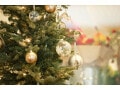 メルカリで「昨年使ったクリスマスツリー」を高く売るコツ！ 出品準備や出品作業のポイントは？