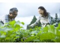退職金を資金にリタイア後にスローライフを送りたい！移住の予算は1500万円で足りる？