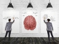 恋人には左側から話しかけるべき？右脳・左脳関連の話に科学的根拠はあるのか