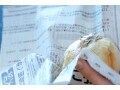 じゃがいもや玉ねぎは夏場も常温保存で大丈夫？ 常備野菜の保存方法