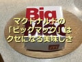 マクドナルドの「ビッグマック」は390円でクセになる酸味！セットもボリューミー◎