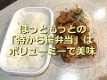 ほっともっとのからあげ弁当「特から揚弁当」は530円でボリューミー！おかずのみも