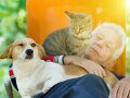 アルツハイマー病を発症するのは人間だけ？動物に認知症はないのか