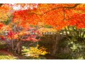 【2022年】冷え込みがちの10月相場で買ってはいけない業種は？