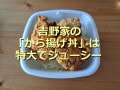 吉野家の「から揚げ丼」はカリッとジューシーで持ち帰りOK！サイズ別カロリーの比較