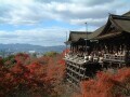 【2023年】京都のおすすめ紅葉名所12選！ 人気スポットの見頃情報も